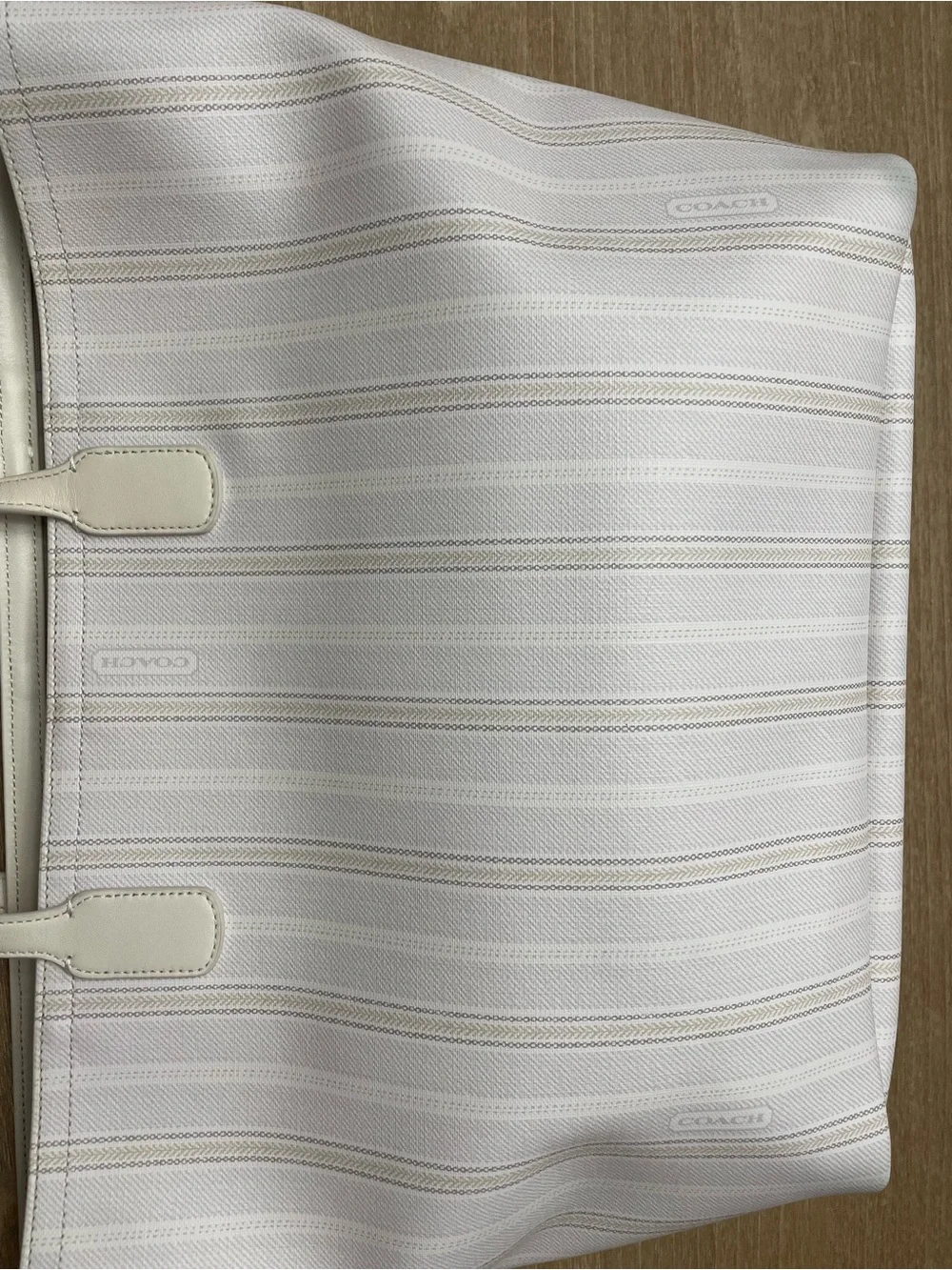 Coach elegant large